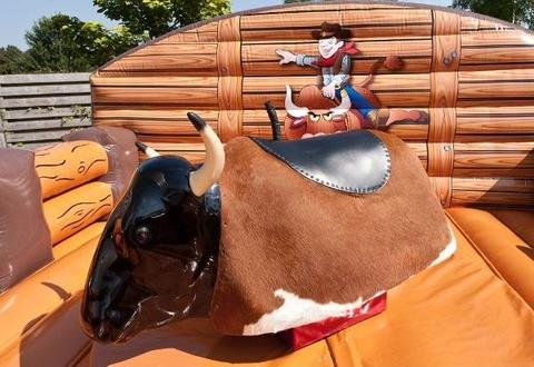 RODEOSTIER