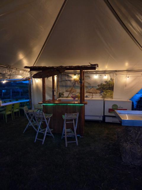 Tiki Bar (1m70 x 1m - 2m80 hoog op hoogste punt)