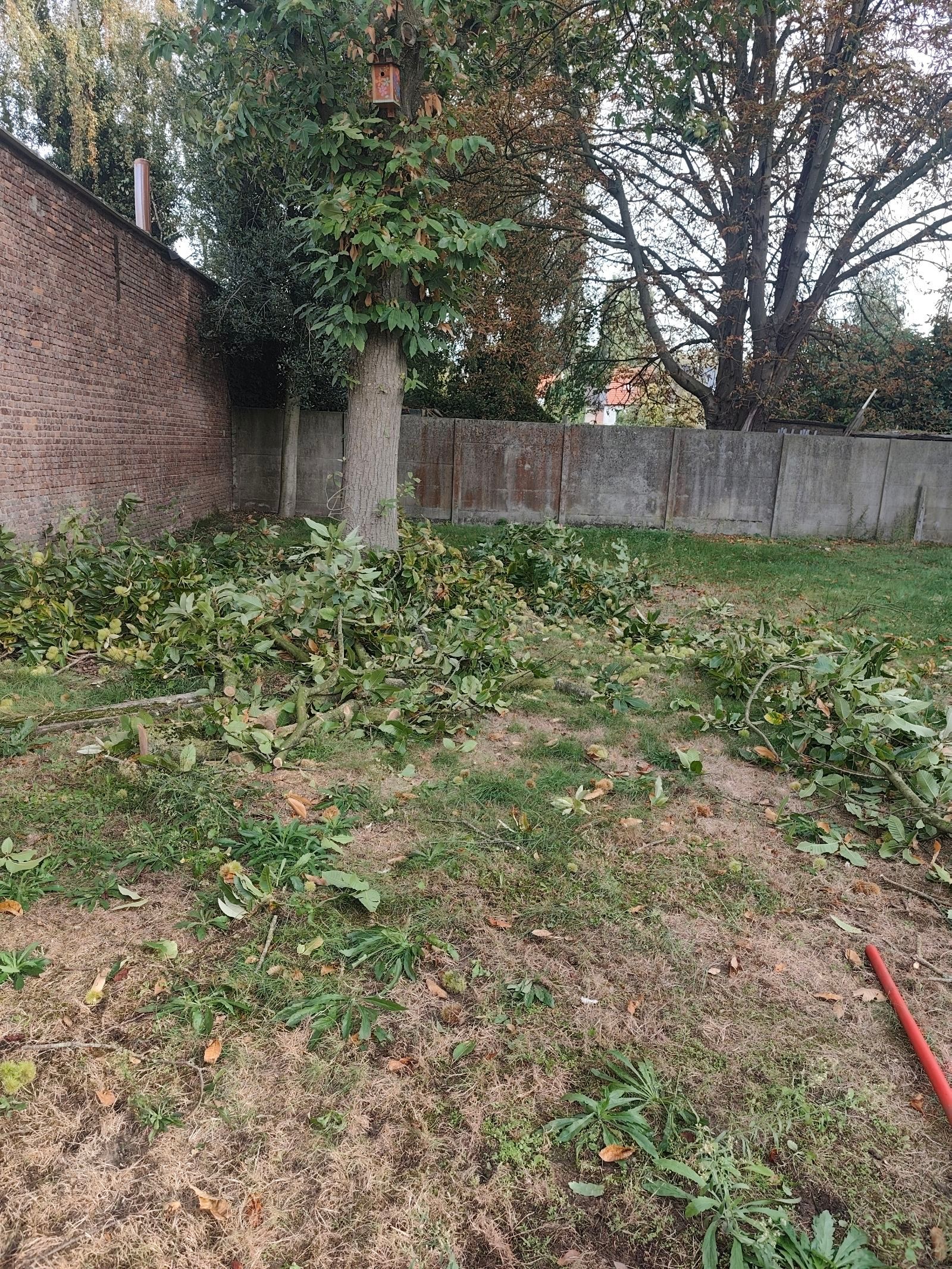 Foto 3