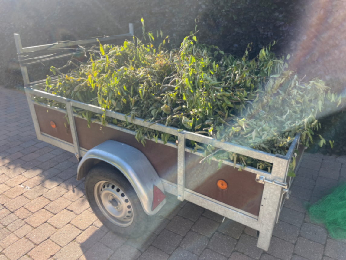 Aanhangwagen