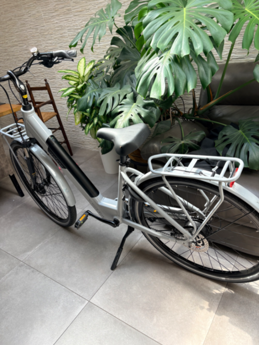Ebike fiets