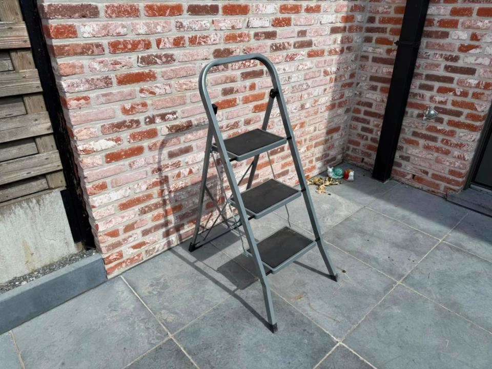 Trapladder