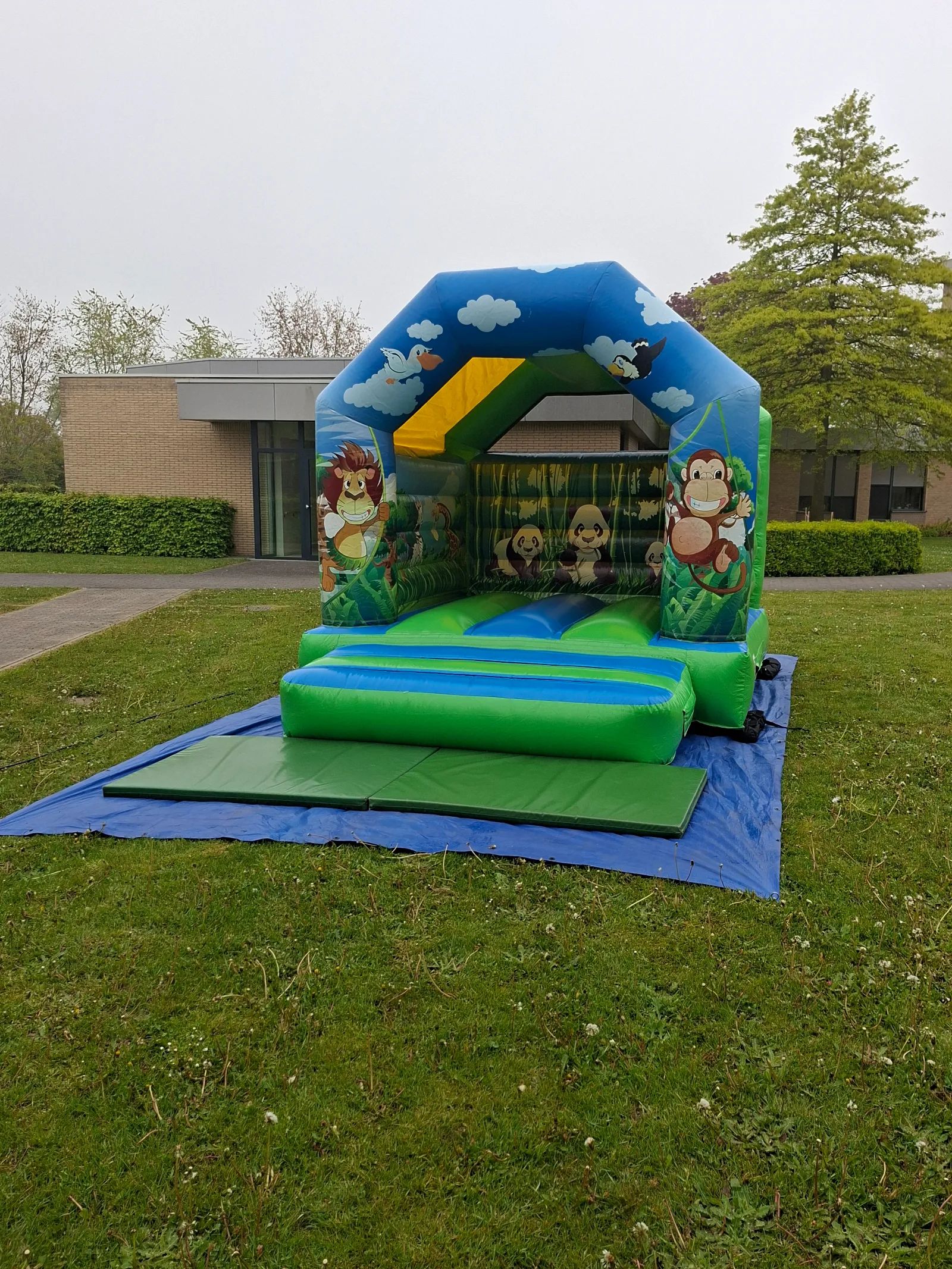 Springkasteel Jungle