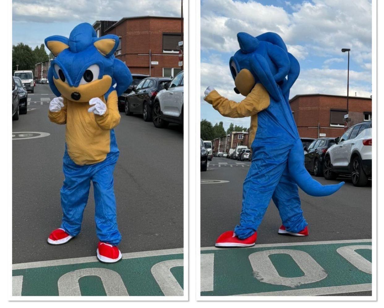 Mascotte Sonic